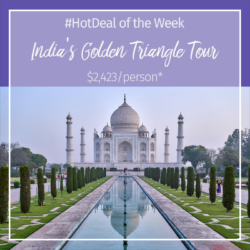 Hot Deal Of The Week – India’s Golden Triangle Tour