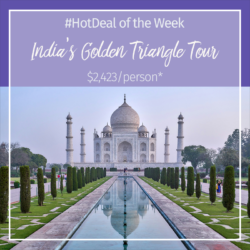 Hot Deal of the Week – India’s Golden Triangle Tour